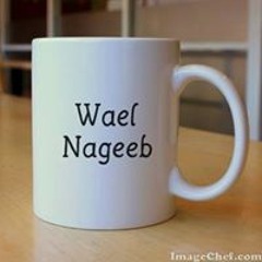 Wael Nageeb