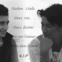 Angelique Van den Bulck