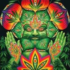 Canna2fly