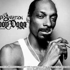 JoeSensation Snoop Mix