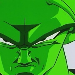 Piccolo_4real_san