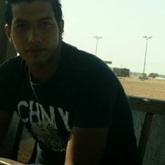 Hesham Mohamed Kouta