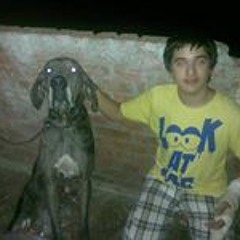Omar Fikry 2