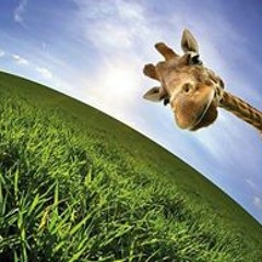 Tomáš Pavlíček 4