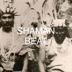 SHAMAN BEAT