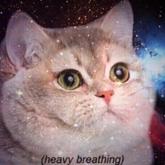 nebulaCat
