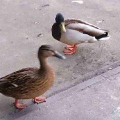 Sepi-M.nl♥️❤️