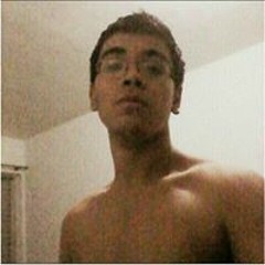 Artur M S de Menezes