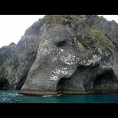 Pierrot L'Artize A Nale