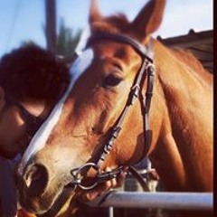 Mohammed Al Balushi 2