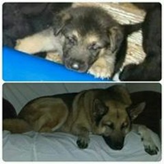 Keith Michael Birkenhauer