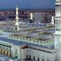 Majed1401pk