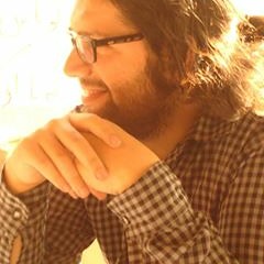 Mohammad H. Mohammadifar