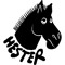 Hester V75