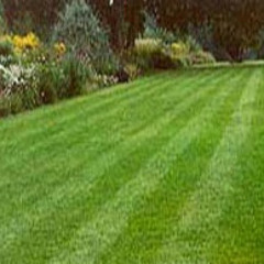 Rodricko Calloway Jr.