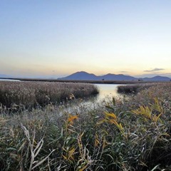아이유 - 잊혀진계절.mp3