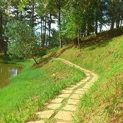 Nhu Mot Giac Mo