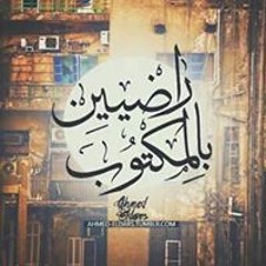 Amr Nasser 22