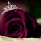 malaika_sher