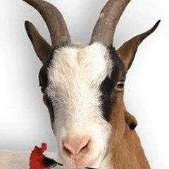 Gabriel Santana Eduardo