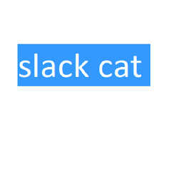 slack cat