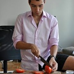 Luc J Ryan-Schreiber