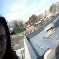 Scarlette Lucia Ruz Galaz