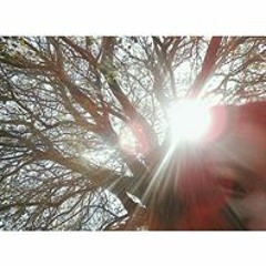 Carenoy Prayoonsitthi