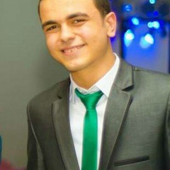 Ayman M. Hassan