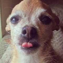 Heather Marie kittyz