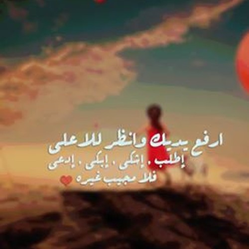 soha abd elhakeem’s avatar