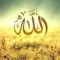 user533791202