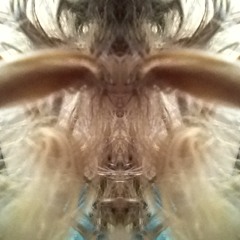 the elegant bachelor