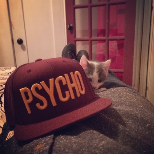 Assuck - Wall of Shame.mp3