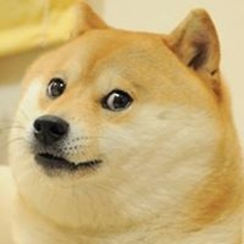 Doge Amaze’s avatar