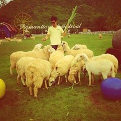 Chaiyawut Thun Jatupot