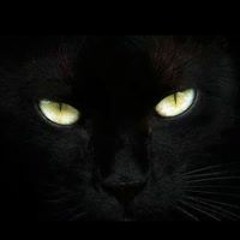 Daniel Quattro Peters