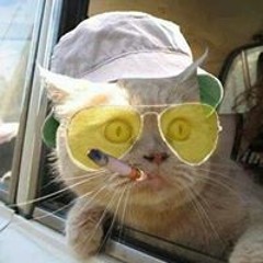 geil