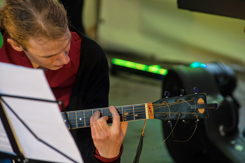 underground forest cover art