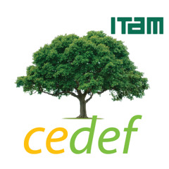 CEDEF_ITAM