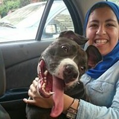 Mariam Mohamed Rageh