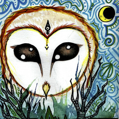 The Owl Eyed Man
