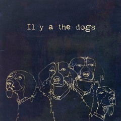 il y a the dogs
