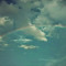 user278762086