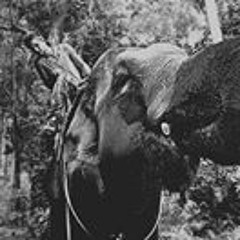 Sandro Sylvester Balanda