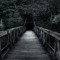Dawid Turalski