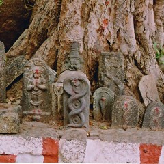 Nagaraja