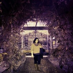 Andrea De Evangelista