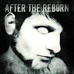After the Reborn