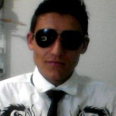 Henrique Pereira Roza